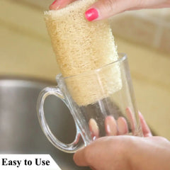 Éponge Luffa naturelle antiarina, bonne absorption, serviette de vaisselle, fourniture de bain et de cuisine