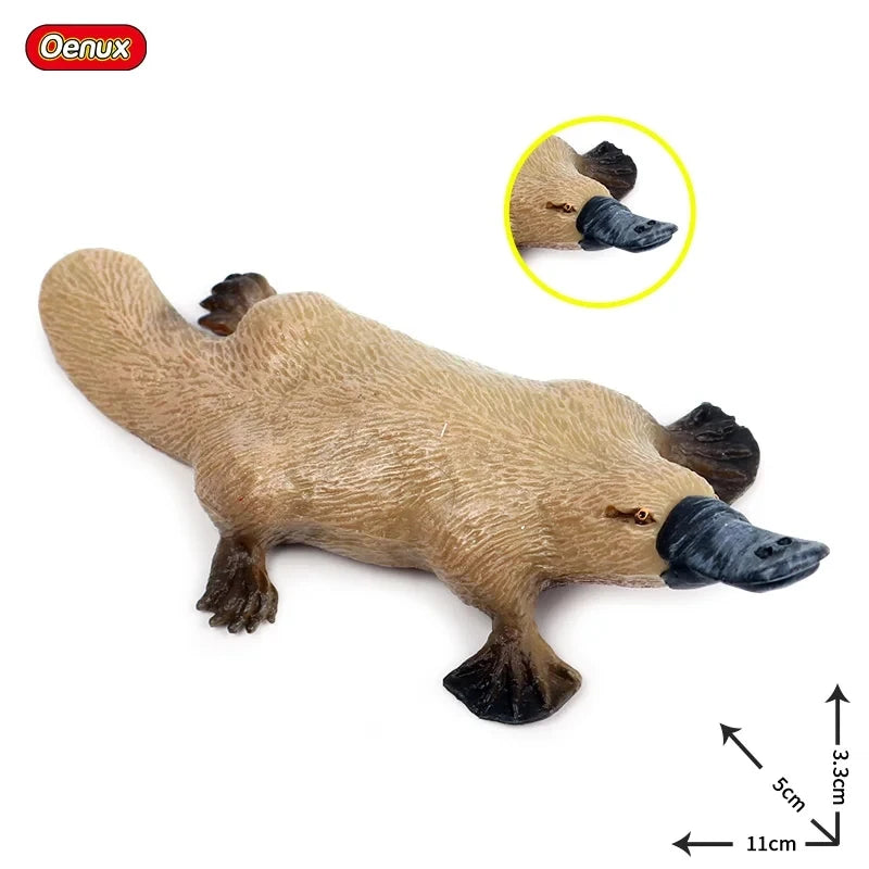 Classic Australian Wild Animals Kangaroos Koala Platypus Tasmanian Devil Echidna Cassowary Model Figurine Toy Child Gift
