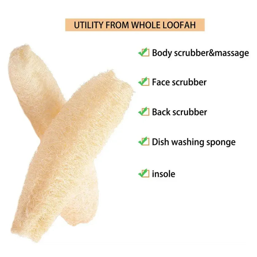 Éponge Loofah Luffa naturelle, biodégradable, forte, nettoyage, longue, antiadhésive, artefact de vaisselle, Pot, brosse, serviettes de vaisselle