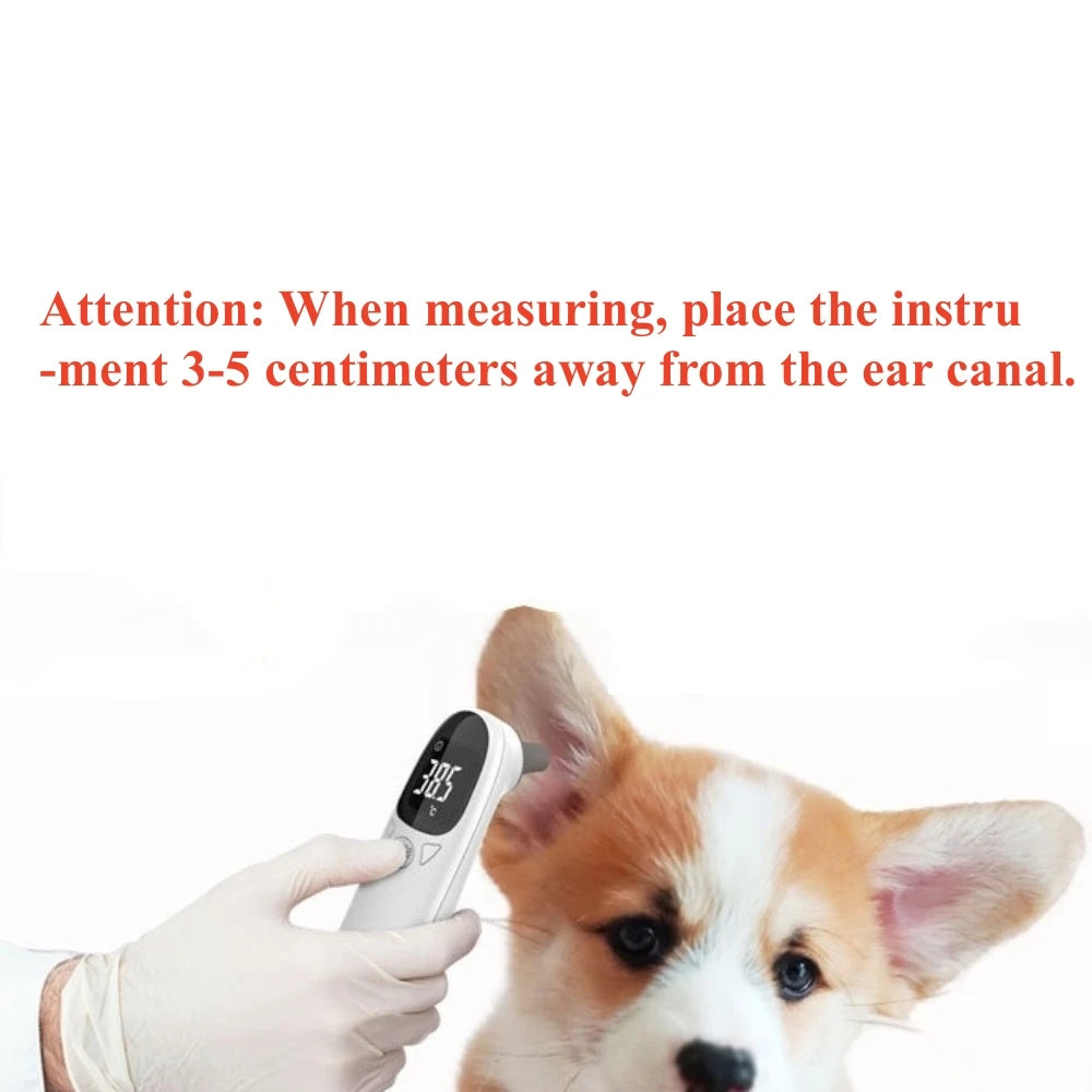 Thermomètre infrarouge pour animaux de compagnie, chien, chat, mesure médicale des animaux, électronique, sans contact, équipement vétérinaire domestique rapide