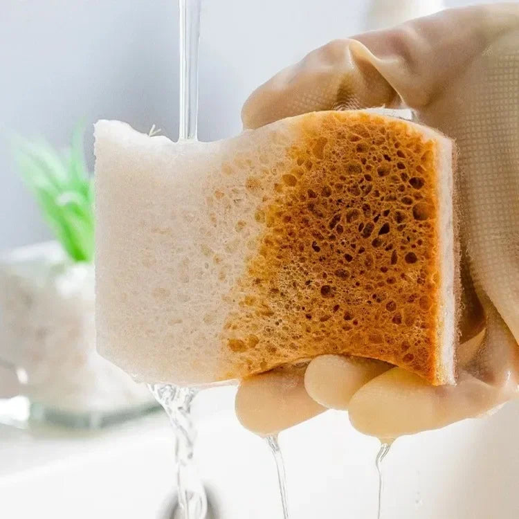 Éponges à récurer les plantes naturelles écologiques et éponge à récurer en noix de coco éponges naturelles pour la vaisselle accessoires de cuisine écologiques