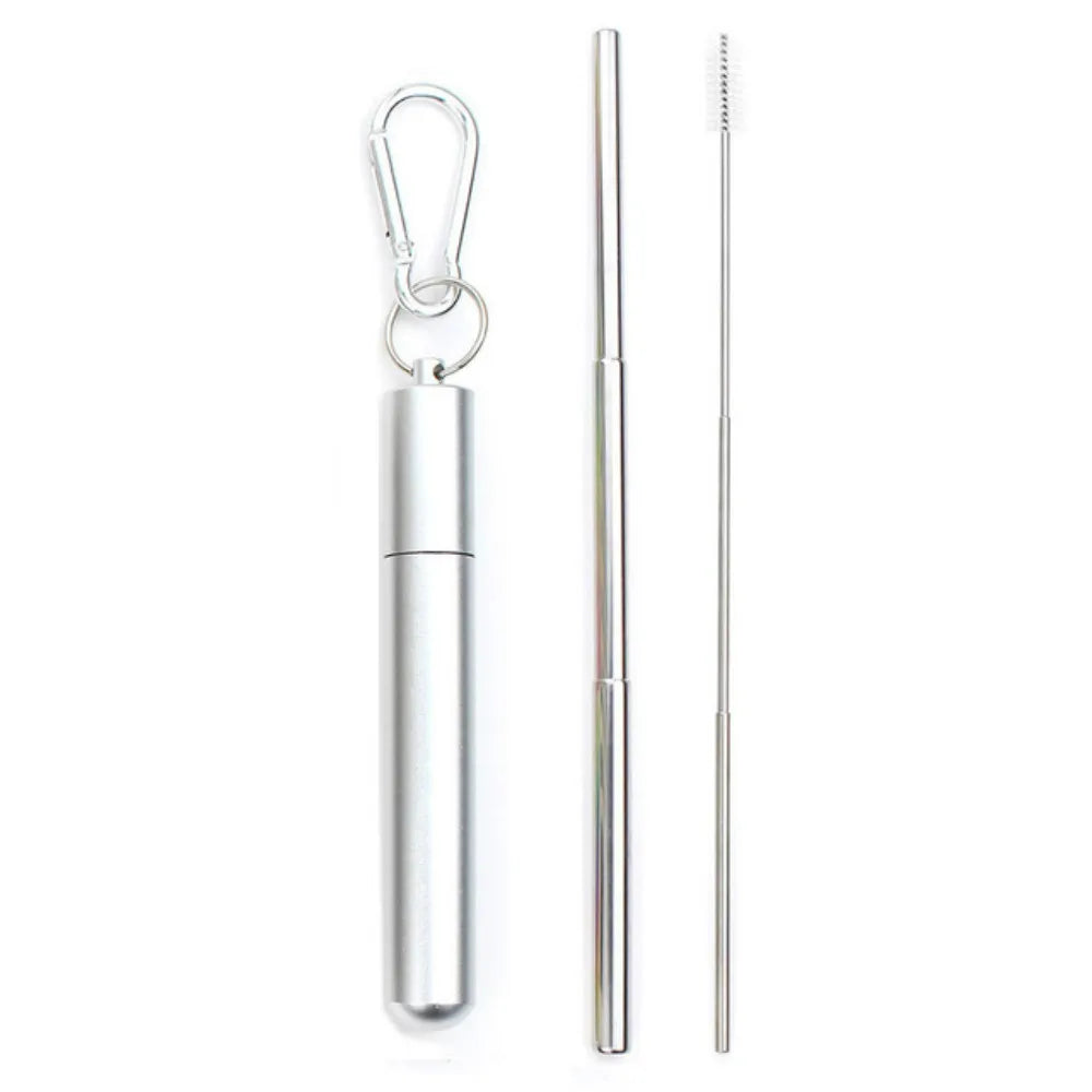 Paille Télescopique Réutilisable en Acier Inoxydable 304, Paille D.lique avec Brosse pour Livres, Ensemble de Pailles à Boire Portables pour Voyage avec Étui