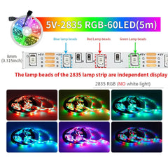 5M USB Led Bande Lumières RGB 2835 60 LED Bluetooth APP Contrôle Luces Led Flexible Diode Décoration Pour Salon Lampe Ruban