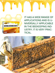 Feuilles de cire d'abeille naturelle en nid d'abeille, 10 pièces, fournitures de fabrication de bougies au miel, feuilles de fond de teint durables pour l'apiculture, outil
