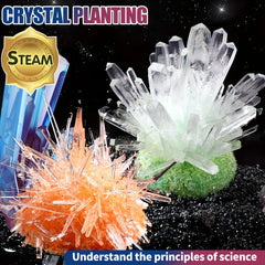 Jouets d'éducation scientifique, croissance et plantation de cristaux, jouets de puzzle éducatifs, jouets de croissance de cristal DIY, Halloween/noël