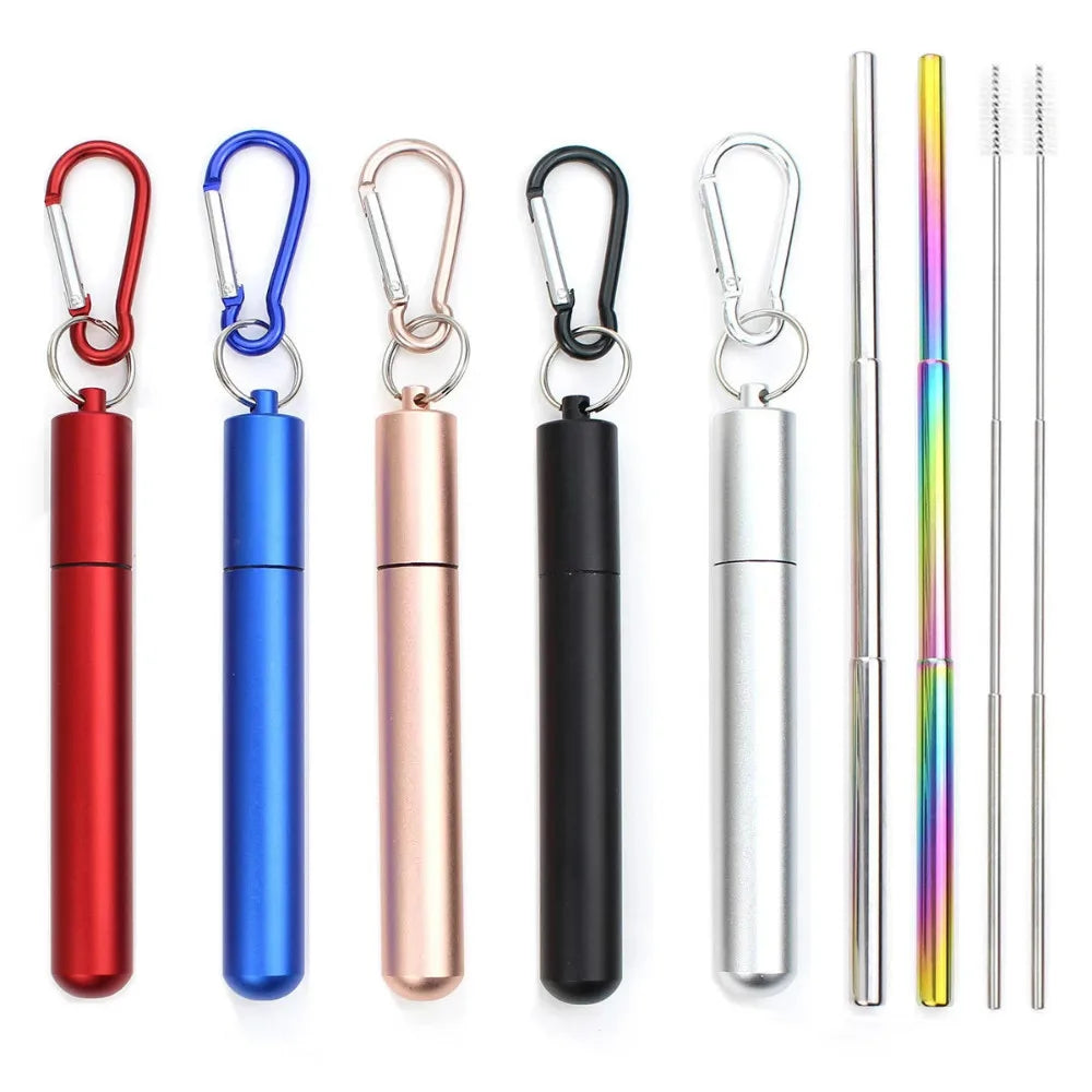 Paille Télescopique Réutilisable en Acier Inoxydable 304, Paille D.lique avec Brosse pour Livres, Ensemble de Pailles à Boire Portables pour Voyage avec Étui