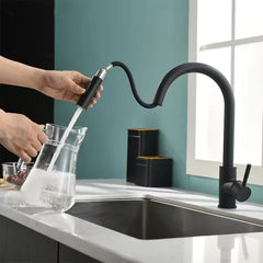 Flexible black cooking spaces, ribbed nozzle, stainless steel, hot and cold, 2 modes