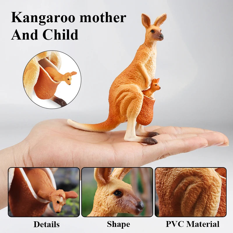 Classic Australian Wild Animals Kangaroos Koala Platypus Tasmanian Devil Echidna Cassowary Model Figurine Toy Child Gift