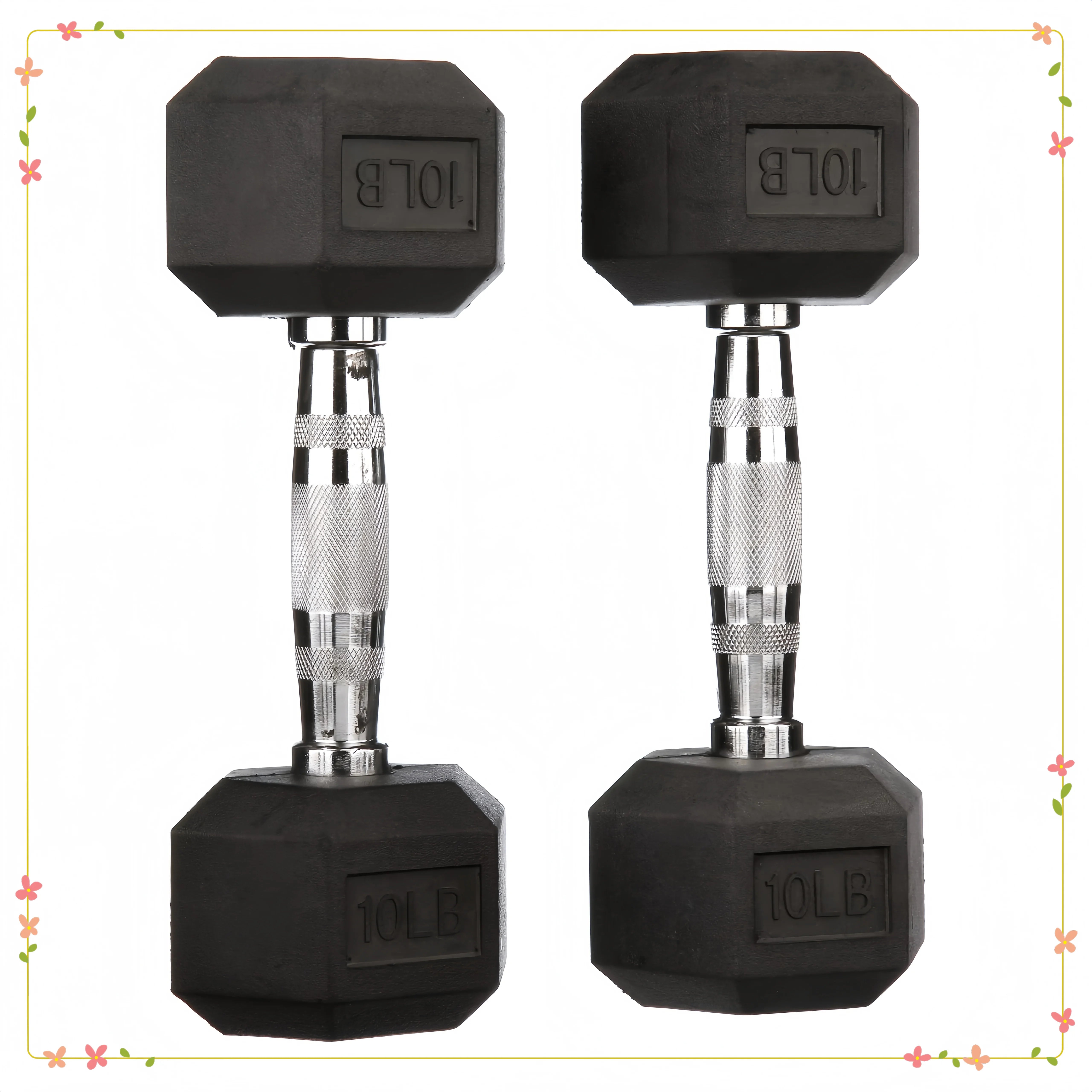 Paire d'haltères hexagonaux recouverts de caoutchouc de 10 lb, noir, conception sans rouleau pour la salle de sport à domicile, l'entraînement de force et l'haltérophilie