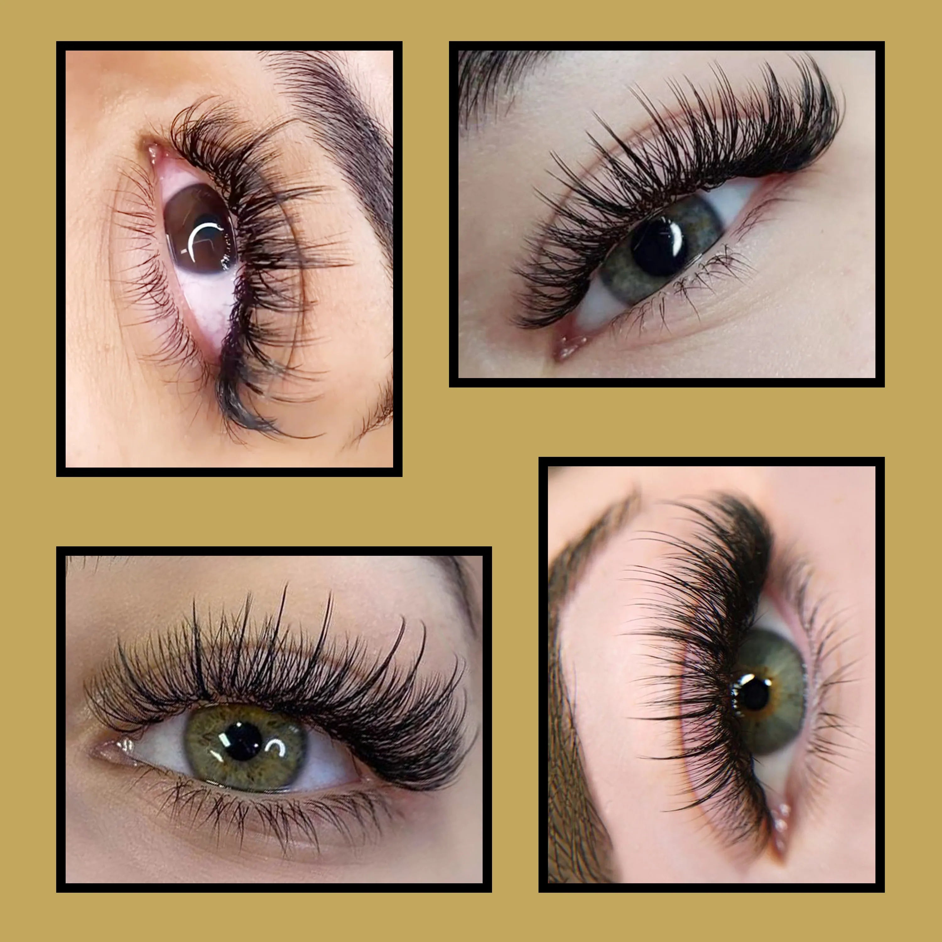 CoMango Qualité 5D Fée Fleur Flora Cils Préfabriqués Fans Cils Individuels Extension Maquillage Naturel Doux Fournisseur En Gros