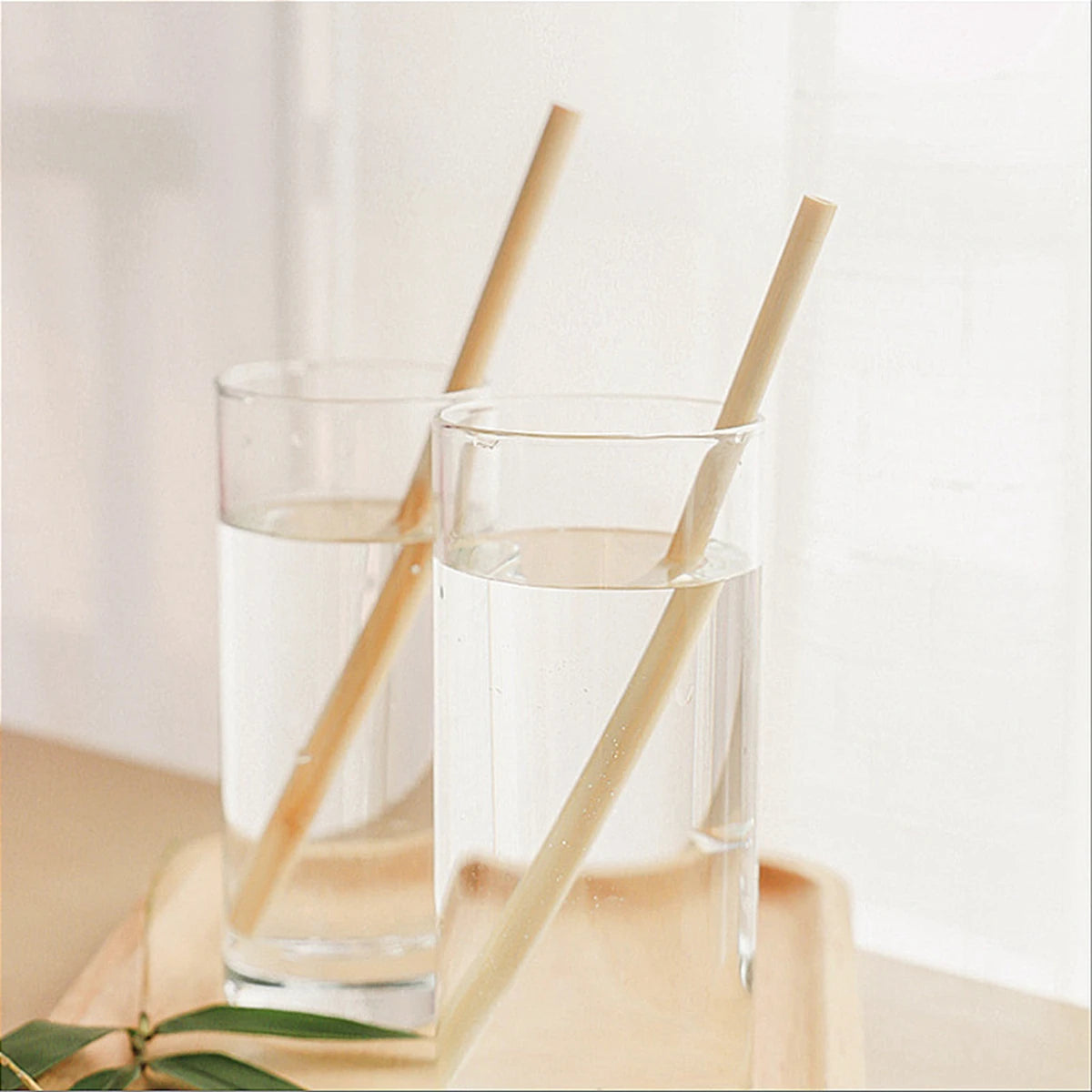 Pailles à boire en bambou naturel réutilisables avec étui, bionickel ables, écologiques, pour cocktail, bar, boissons, 10 pièces