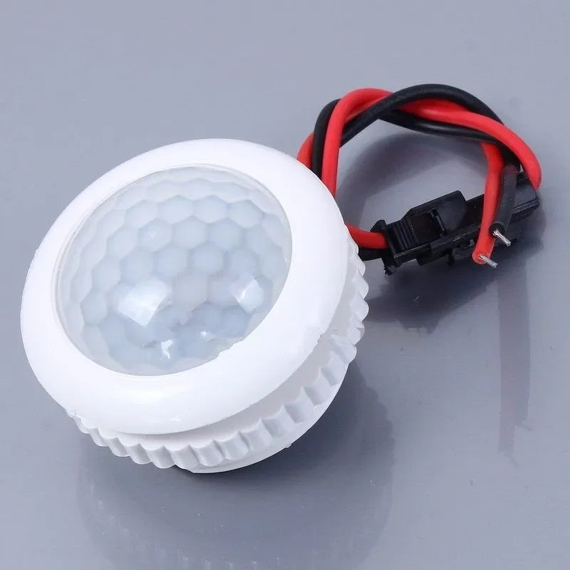 Lampe LED avec détecteur de mouvement PIR, interrupteur de vie intelligent, détection automatique, mini veilleuse sensible, 220V