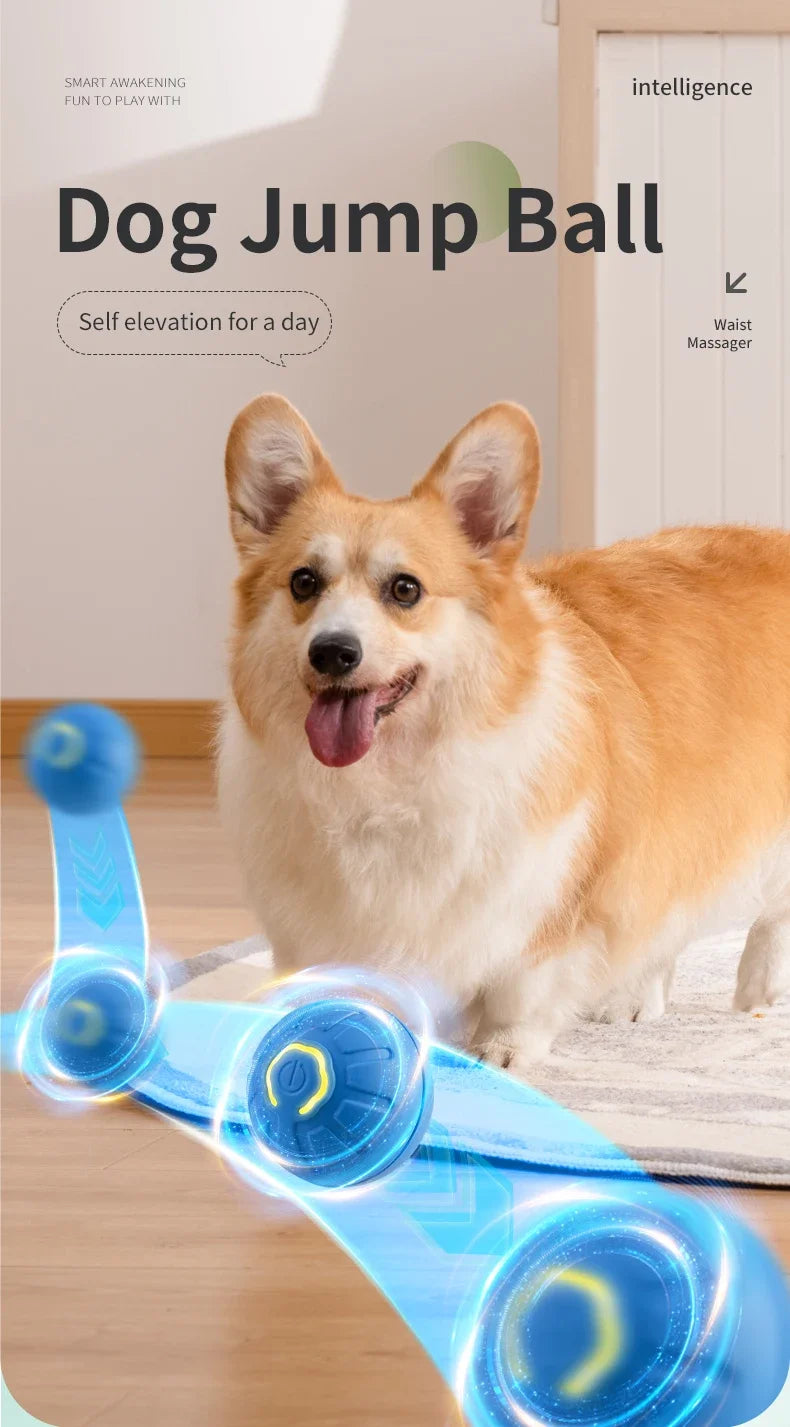 Jouet coule électronique intelligent pour animaux de compagnie, boule mobile, USB, mouvement automatique, rebondissant pour chiot, cadeau d'anniversaire, produit pour chat