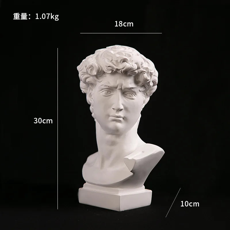 European home decor, David head resin statues, modern abstract art bust sculpture, practical sketch art