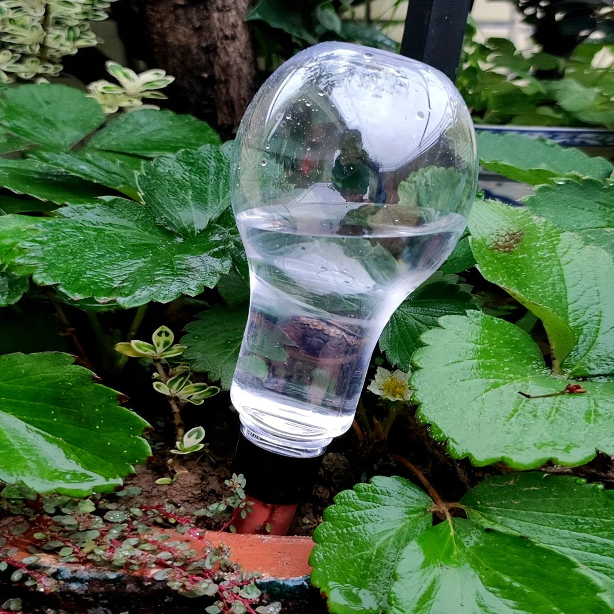 Outil d'arrosage automatique de jardin, dispositif d'arrosage goutte-à-goutte d'intérieur pour plantes d'intérieur, personnes paresseuses, fleurs d'eau