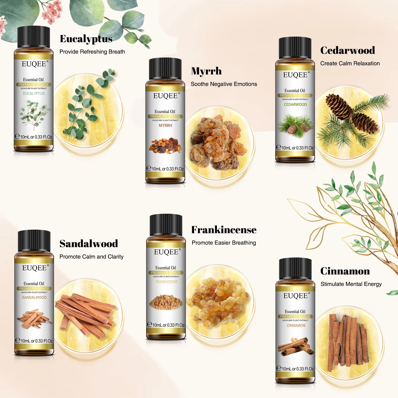 EUQEE – ensemble d'huiles essentielles série Woody, 6 bouteilles, pour aromathérapie, œucalyptus, cèdre, bois de santal, encens, cannelle, myrrh