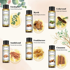 EUQEE – ensemble d'huiles essentielles série Woody, 6 bouteilles, pour aromathérapie, œucalyptus, cèdre, bois de santal, encens, cannelle, myrrh
