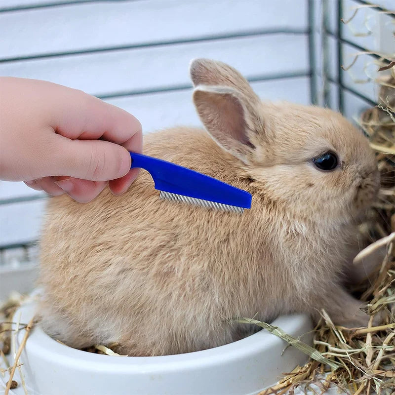 Kit de toilettage pour lapin, dissolvant de taches, peignes de nettoyage, coupe-ongles pour animaux de compagnie, shampoing Double face, brosse de bain pour cochon d'inde, lapin