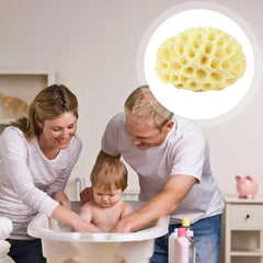 Natural Sea Wool Sponge, Replacement Frequency, Skin Remover, Books, Foam, Washing, Ohio, Pouf, Shower, Extension, Body