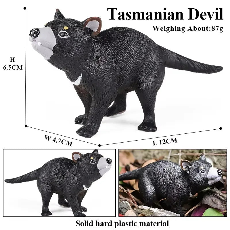 Classic Australian Wild Animals Kangaroos Koala Platypus Tasmanian Devil Echidna Cassowary Model Figurine Toy Child Gift