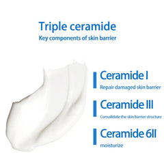 CeraVe Lotion hydratante quotidienne pour peau sèche Lotion pour le corps et hydratant pour le visage avec acide hyaluronique et céramides 236 ml/473 ml
