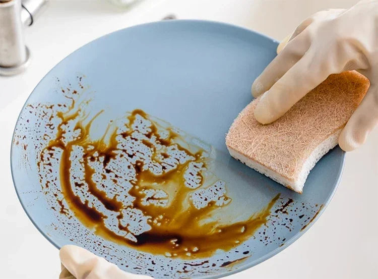 Éponges à récurer les plantes naturelles écologiques et éponge à récurer en noix de coco éponges naturelles pour la vaisselle accessoires de cuisine écologiques