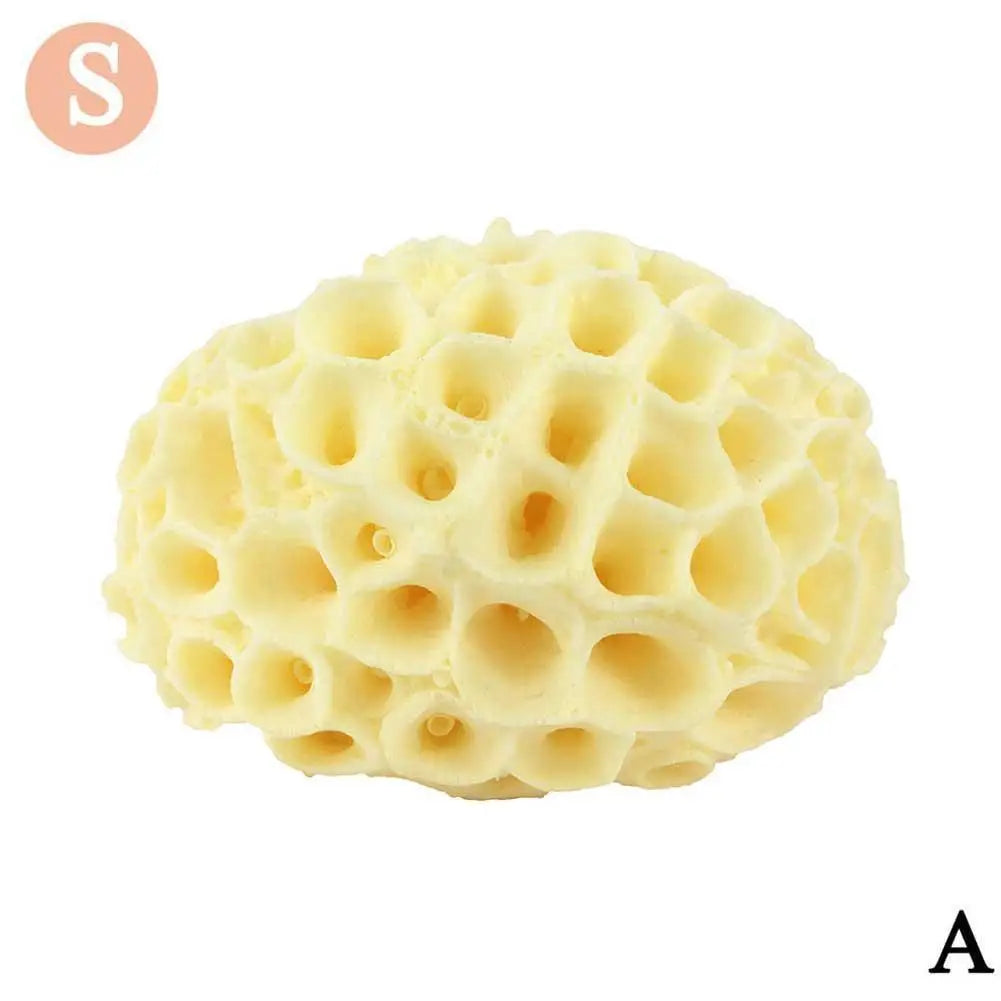 Natural Sea Wool Sponge, Replacement Frequency, Skin Remover, Books, Foam, Washing, Ohio, Pouf, Shower, Extension, Body