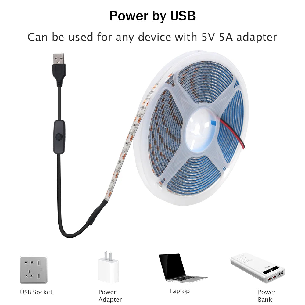 Bande lumineuse Led USB 5V SMD 2835, 60 diodes/m, ruban Flexible, éclairage de fond TV, 1M 2M 3M 5M, guirlande lumineuse LED, décoration de salle