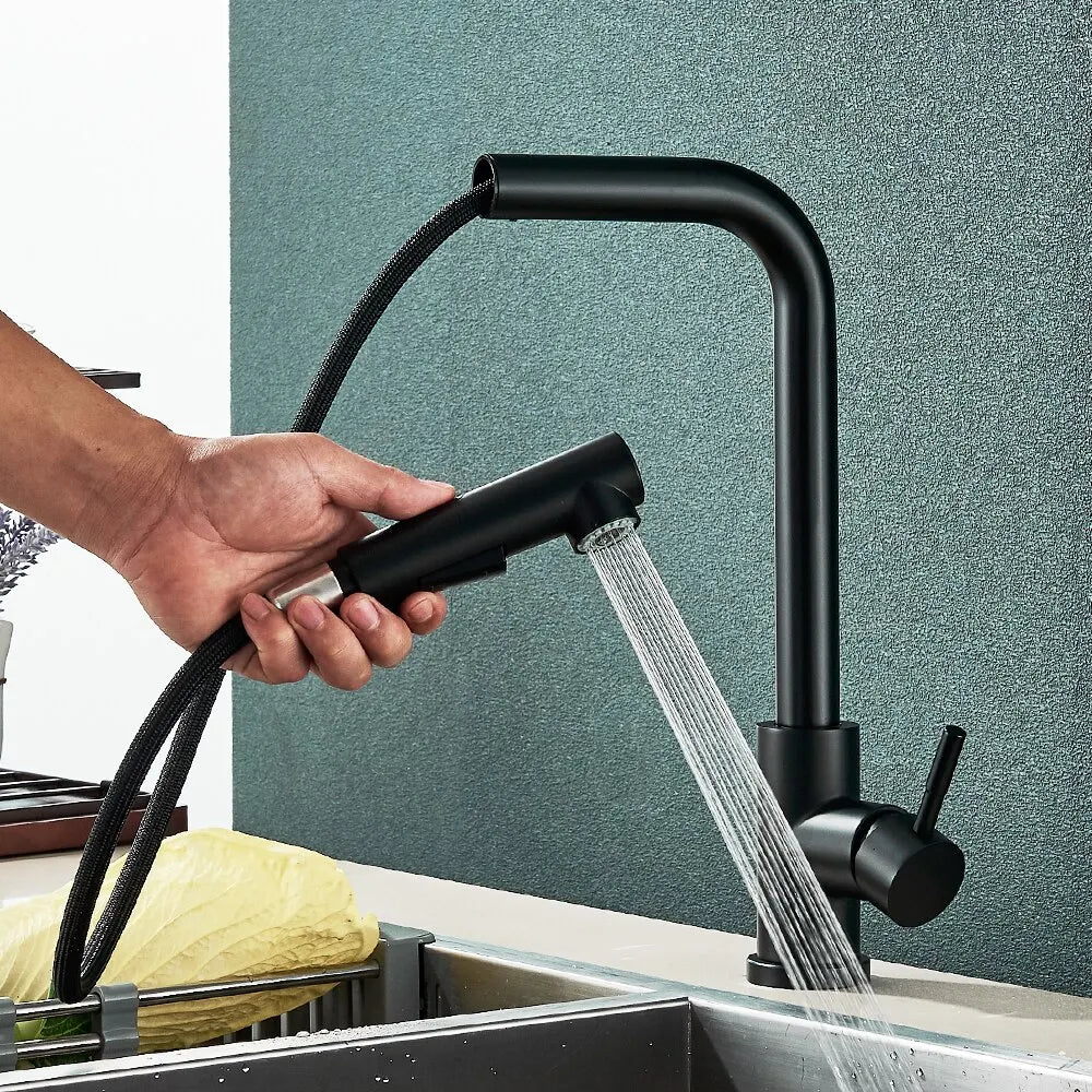 Évier de cuisine flexible à nervures noires, 2 modes, flux et buse de pulvérisateur, acier inoxydable, eau chaude et froide, pont de robinet de centre commercial