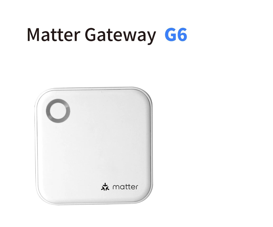 TTLOCK passerelle G2 G3 G3P G4 Bluetooth vers Wifi passerelle Hub WIFI/RJ45/POE/4G TLE pour serrure de porte de maison intelligente Ttlock App contrôle de téléphone