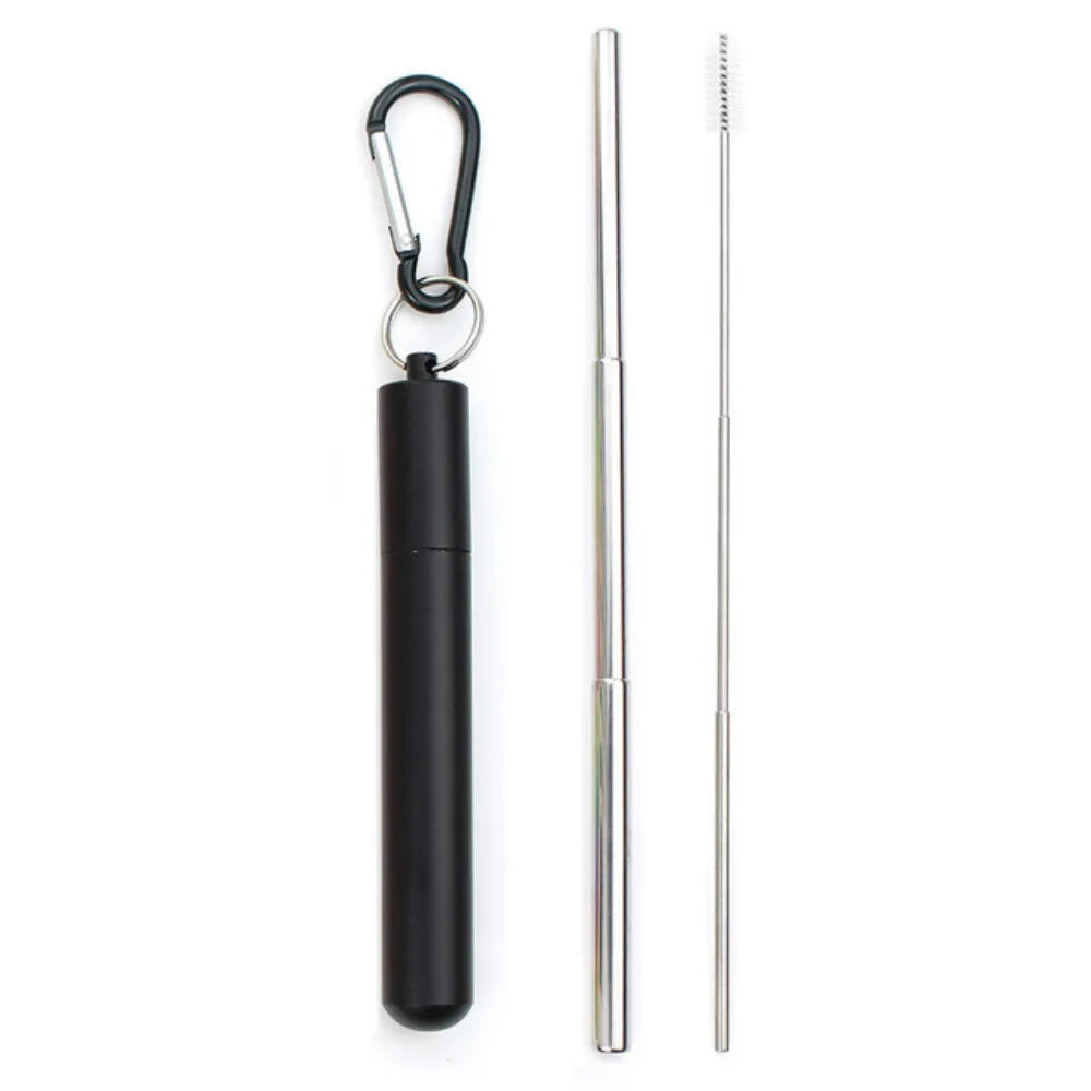 Paille Télescopique Réutilisable en Acier Inoxydable 304, Paille D.lique avec Brosse pour Livres, Ensemble de Pailles à Boire Portables pour Voyage avec Étui