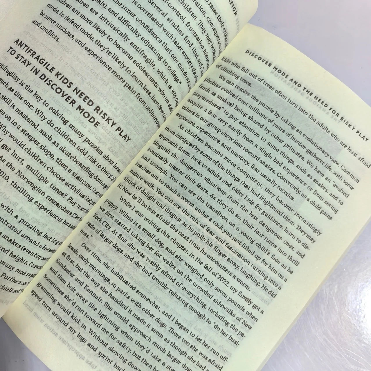 Bview Art La génération ansieuse : best-seller de la NYT sur l'anxiété numérique et le bien-être mental