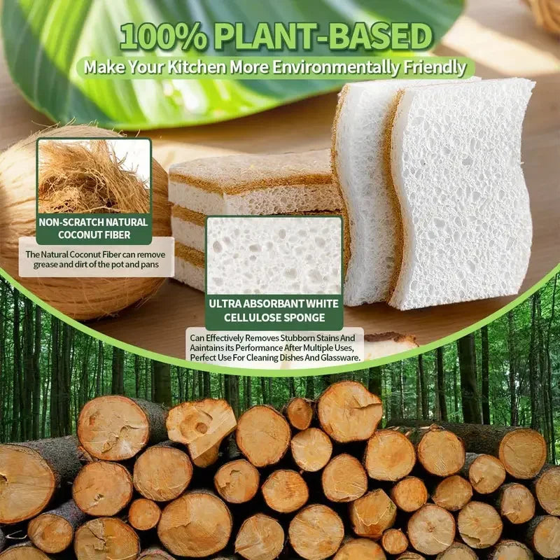 Éponge de cuisine naturelle en Cellulose et noix de coco, 6/12 pièces, pour la vaisselle, paquet d'éponges de nettoyage ménager blanches