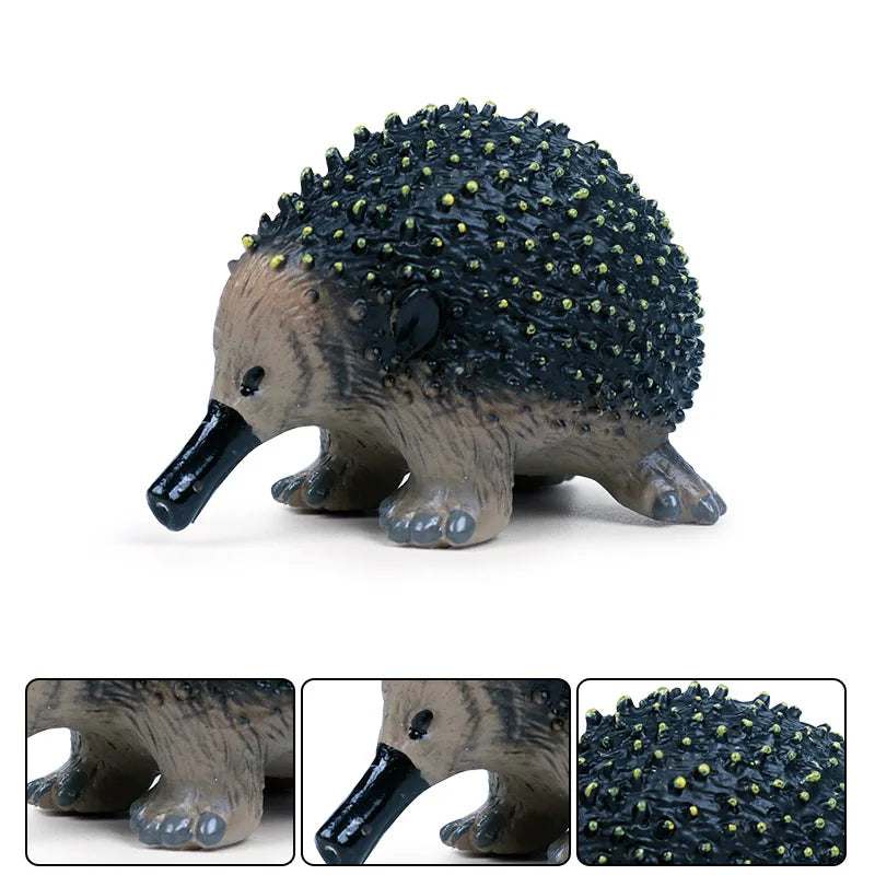 Classic Australian Wild Animals Kangaroos Koala Platypus Tasmanian Devil Echidna Cassowary Model Figurine Toy Child Gift