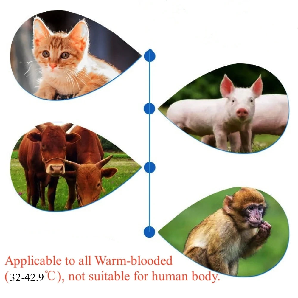 Thermomètre infrarouge pour animaux de compagnie, chien, chat, mesure médicale des animaux, électronique, sans contact, équipement vétérinaire domestique rapide