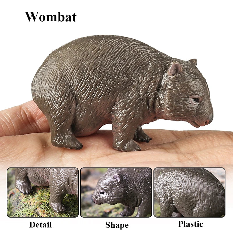 Classic Australian Wild Animals Kangaroos Koala Platypus Tasmanian Devil Echidna Cassowary Model Figurine Toy Child Gift
