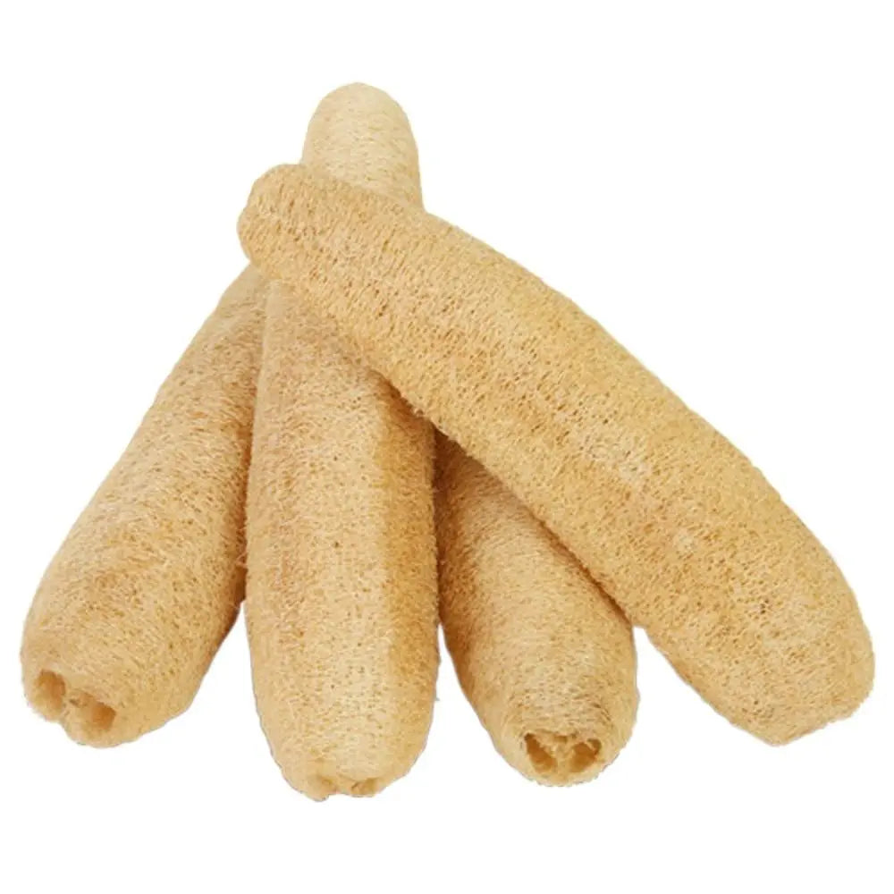 Éponge Luffa naturelle antiarina, bonne absorption, torchons de bain, éponge de douche Linge, plantation de pingouin long, luffa logique, cuisine