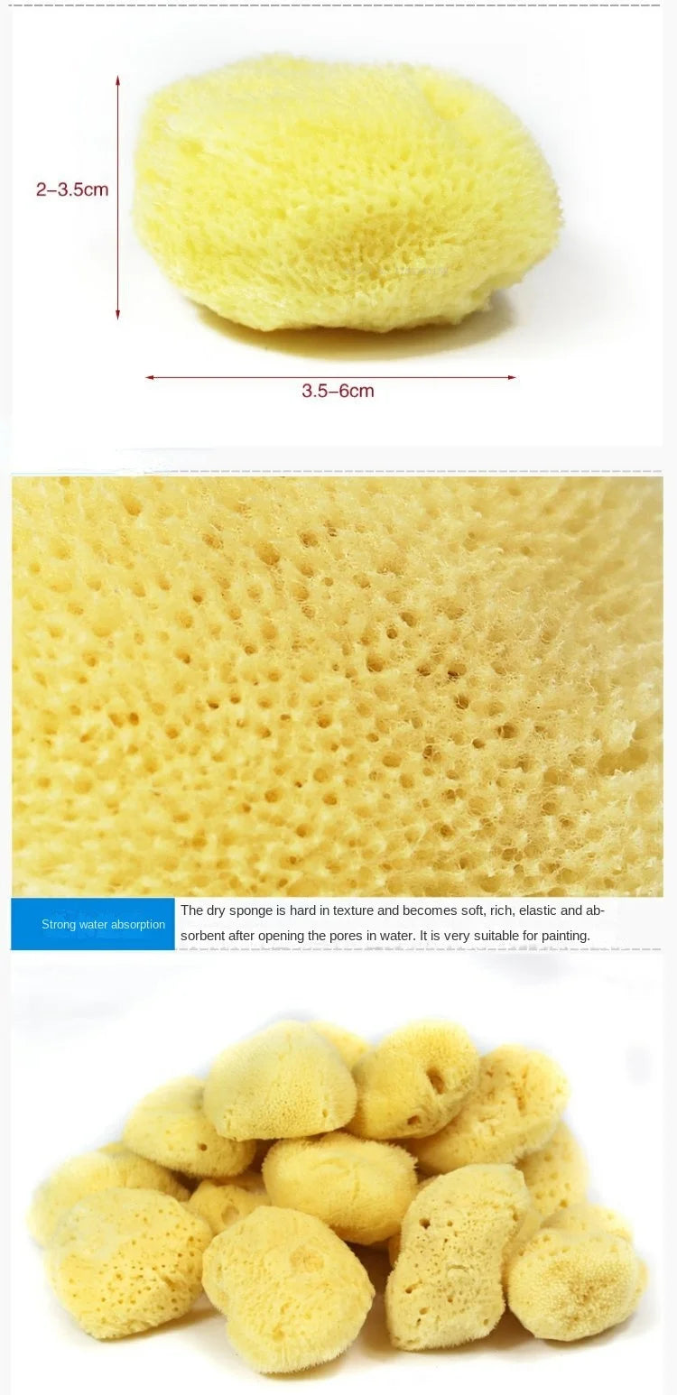 Peinture à l'aquarelle en éponge grecque naturelle, avec éponge absorbante, stylo d'essuyage, outil de nettoyage de Production de Texture spéciale