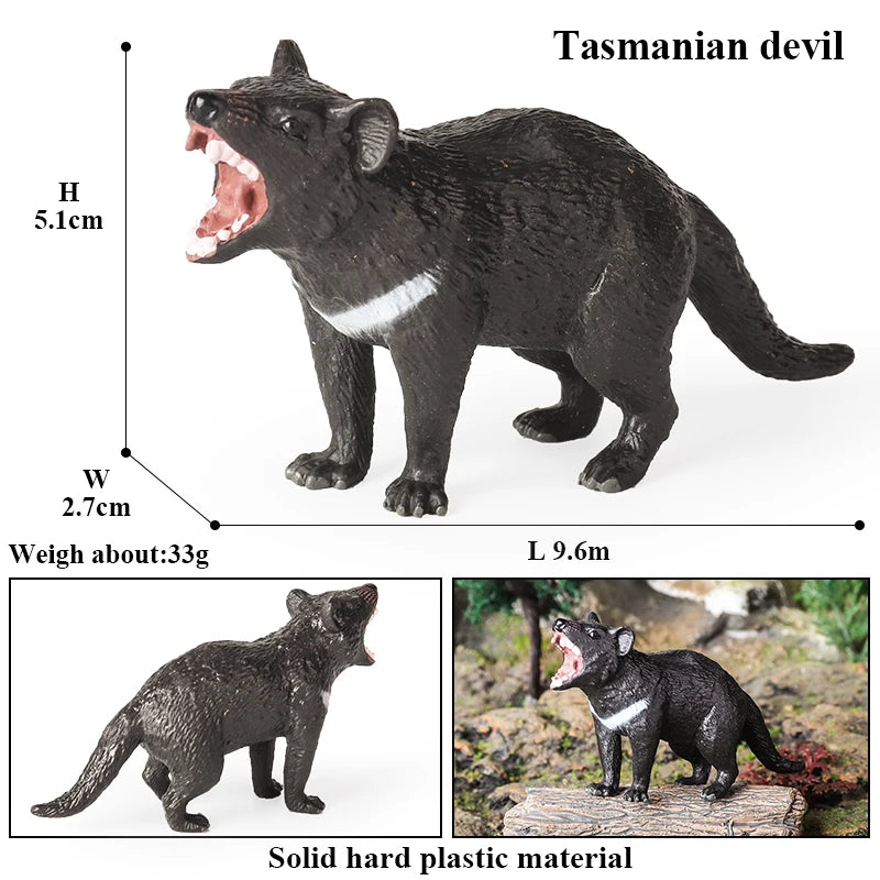 Classic Australian Wild Animals Kangaroos Koala Platypus Tasmanian Devil Echidna Cassowary Model Figurine Toy Child Gift