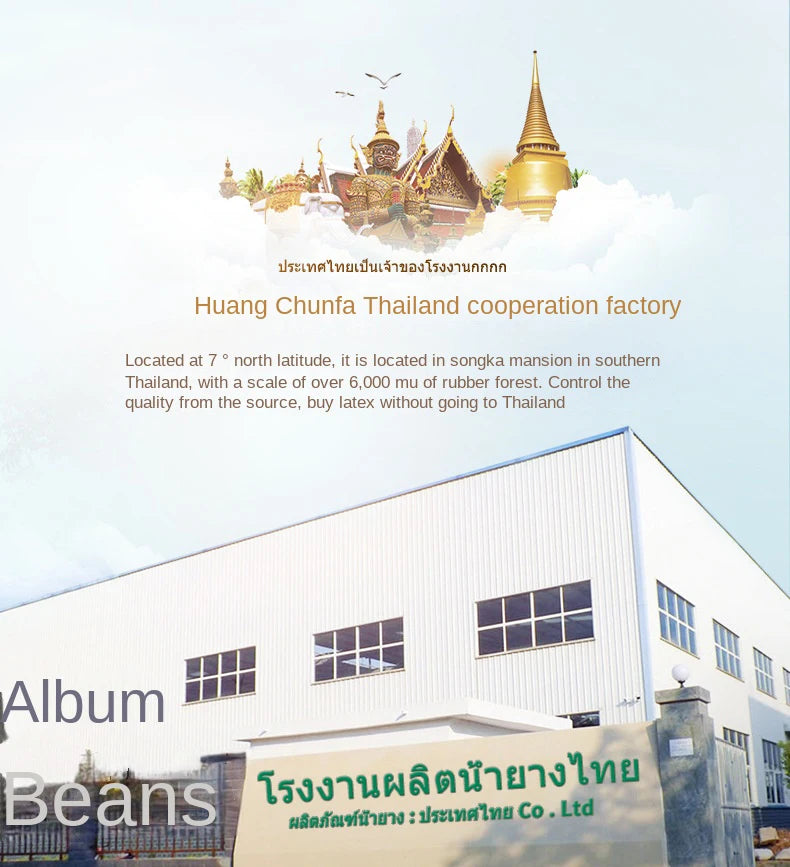 Matelas supérieur en Latex naturel 100%, Source de Latex haut de gamme, liquide pliable, tapis chinois à rebond lent avec housse en coton personnalisable