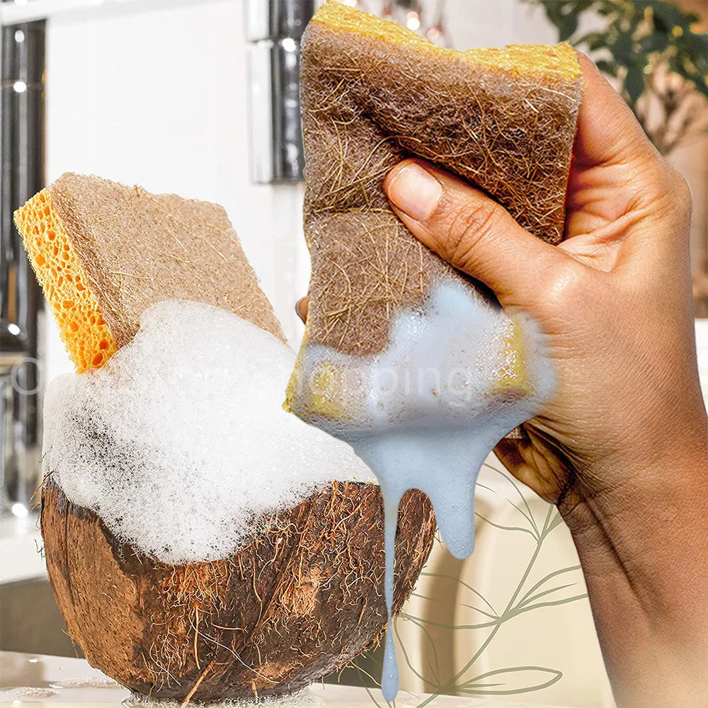 Paquet de 10 éponges naturelles biodégradables éponges de cuisine écologiques pour une vie durable éponge à vaisselle biodégradable à base de plantes