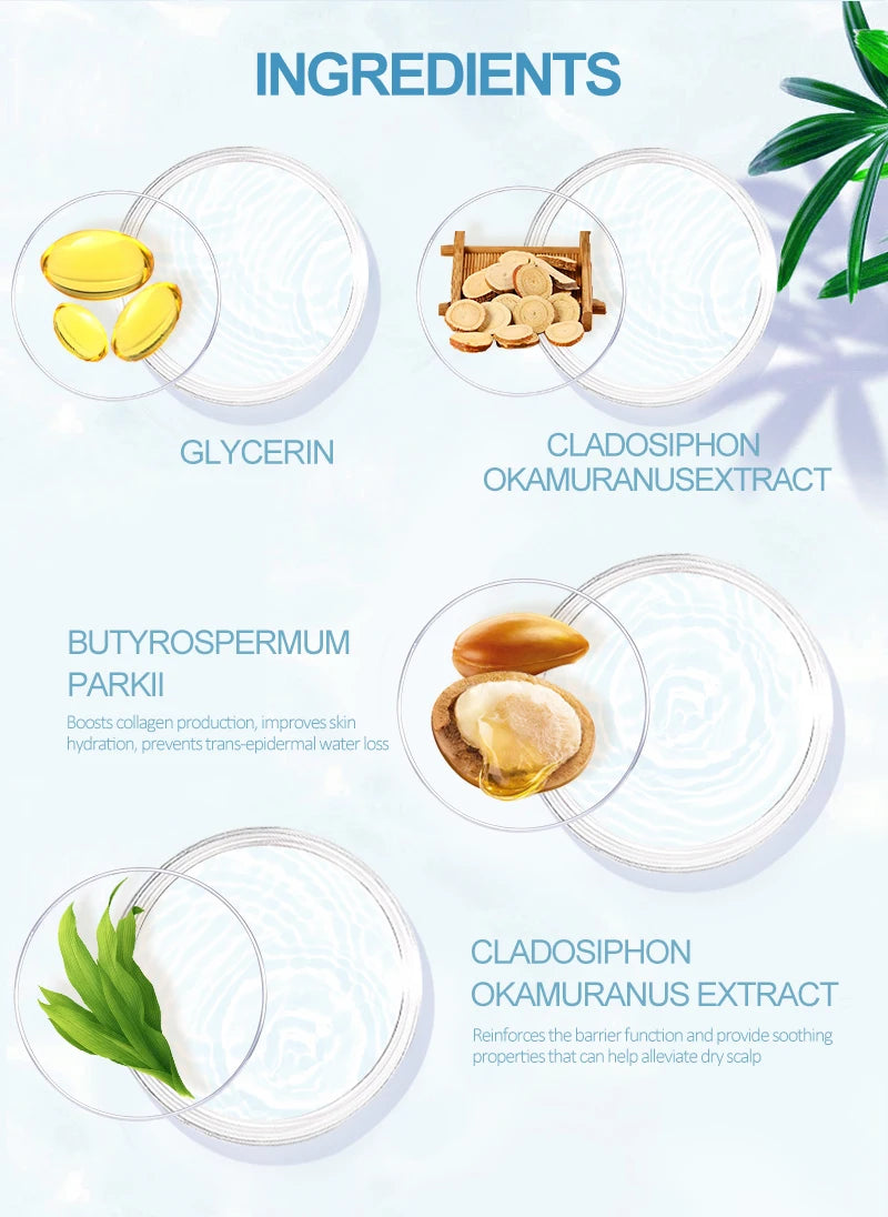 PURC-Shampoing en Polygonum pour Cheveux Gris et Blanc, Barre de Traitement du Cuir oral elu, au Charbon de Bambou de Regina, Solide, 60g