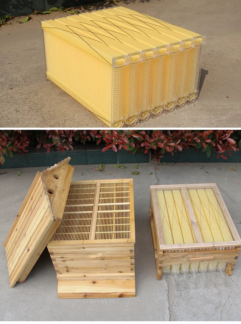 Dispositif de Flux existent de Miel pour Ruche d'Apiculture, Ensemble Complet d'Outils d'Apiculture, Nouveauté