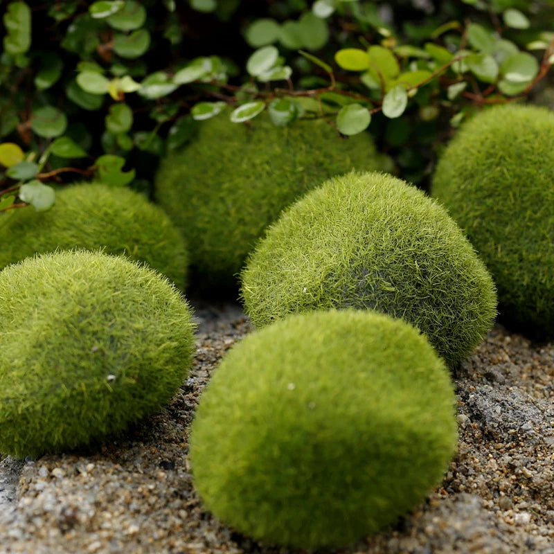 Mini pierres de mousse pour ferme de fourmis, 1 pièce, décoration écologique, nid de fourmi, accessoires, outil, Anthill pour maison de fourmi, décoration de Micro-paysage