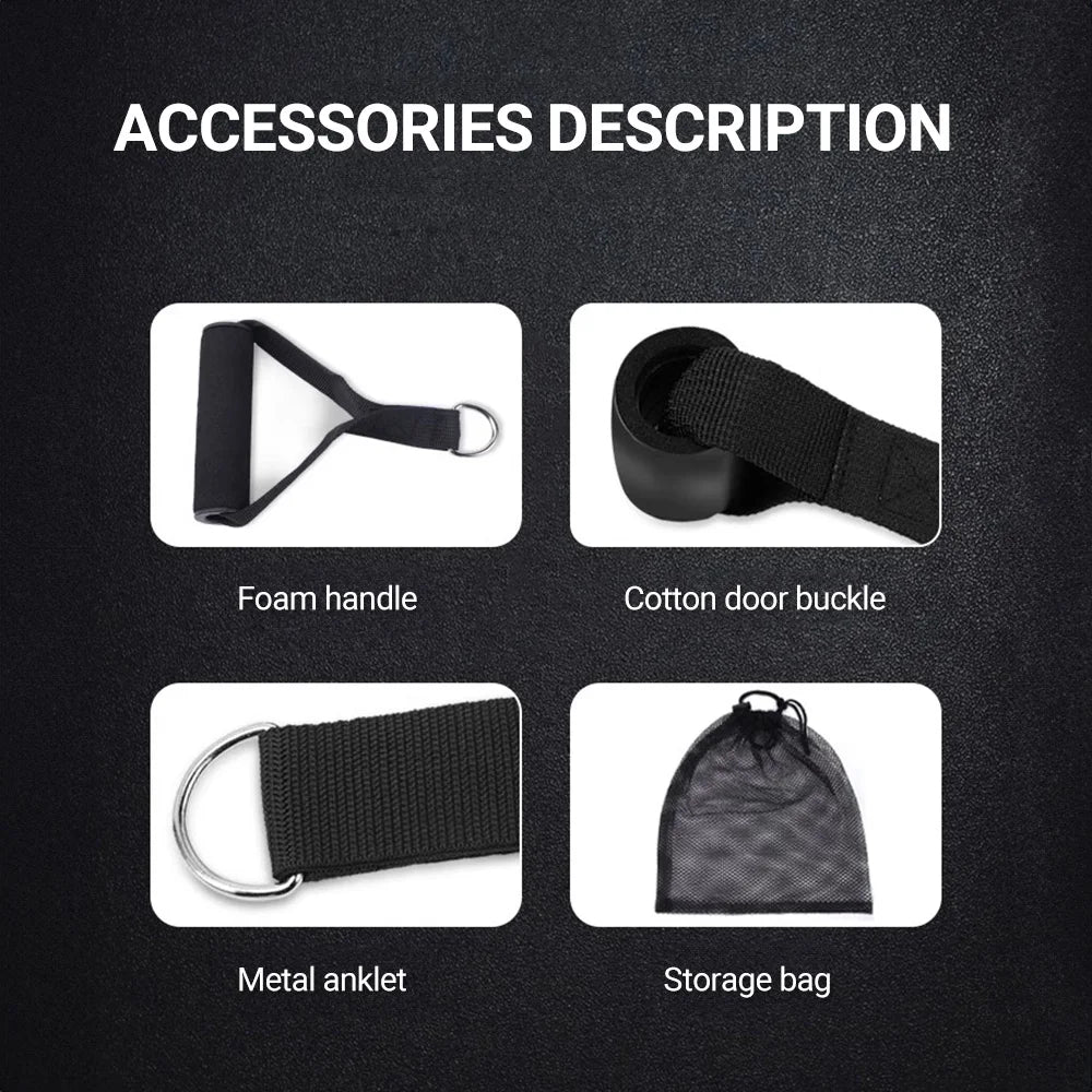Ensemble de bandes de résistance de musculation, tendeur multifonction, ceinture d'entraînement musculaire, bandes élastiques, équipement de Fitness Portable