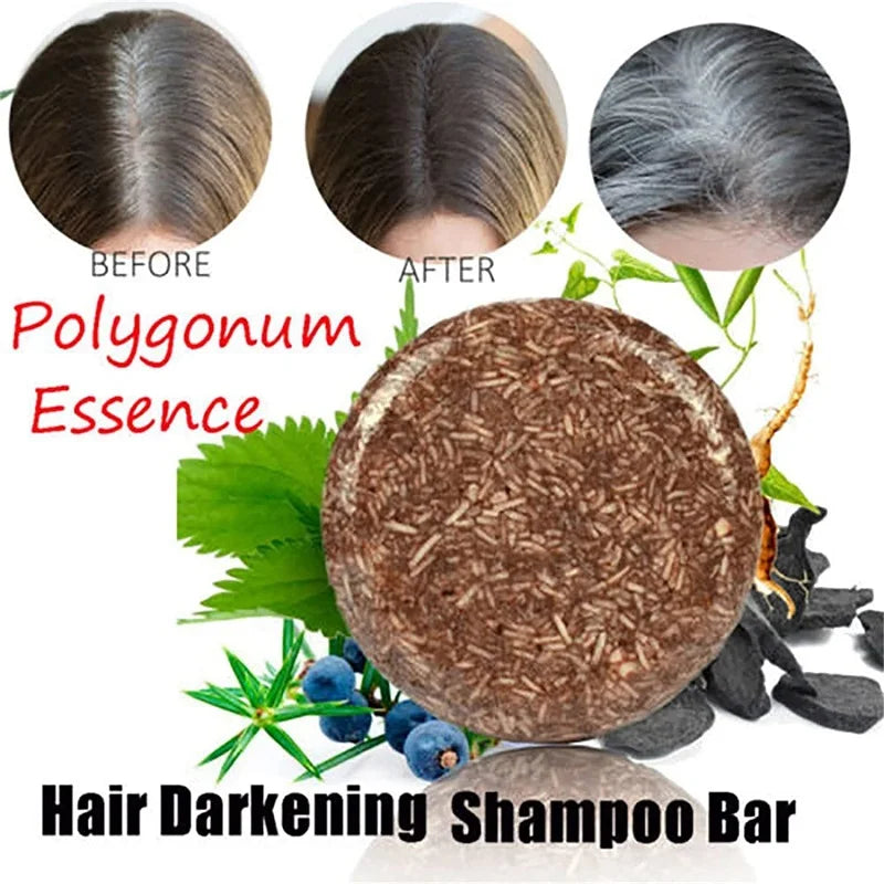 Polygonum savon cheveux assombrissant shampooing barre femmes hommes cheveux solide gingembre shampooing savon blanchissant différents Styles de barre de savon cheveux