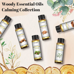 EUQEE – ensemble d'huiles essentielles série Woody, 6 bouteilles, pour aromathérapie, œucalyptus, cèdre, bois de santal, encens, cannelle, myrrh