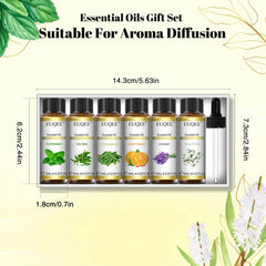 EUQEE huiles essentielles Set 6 bouteilles 10ml huiles d'aromathérapie naturelles pures pour diffuseurs humidificateurs faisant bougie savon