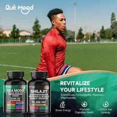 Mousse de mer et shilajit Bundle 120 gélules, avec seamos, huile de pépins noirs, Ashwagandha, gingembre, racine de bardane, curcuma, Pepp noir