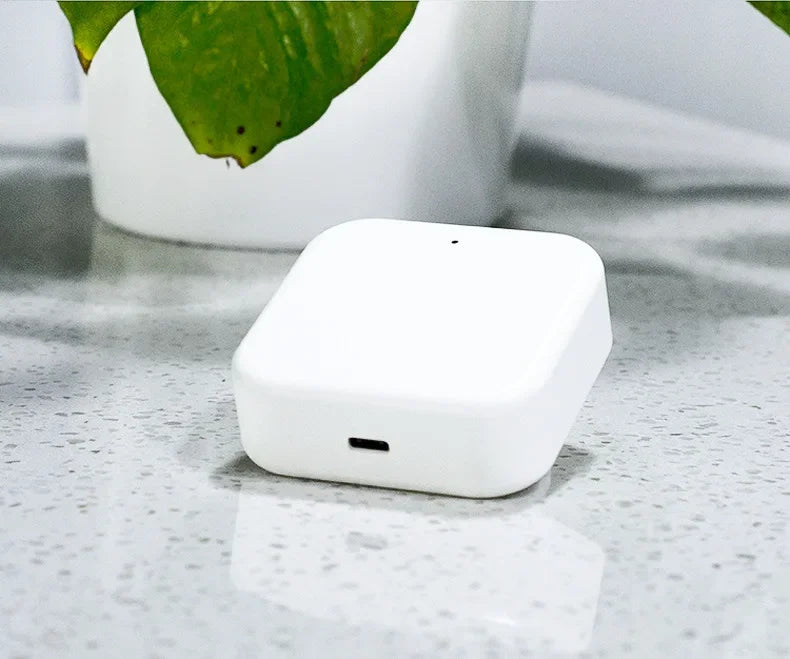 TTLOCK passerelle G2 G3 G3P G4 Bluetooth vers Wifi passerelle Hub WIFI/RJ45/POE/4G TLE pour serrure de porte de maison intelligente Ttlock App contrôle de téléphone